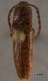  ( - ELAT038)  @11 [ ] Unspecified (default): All Rights Reserved  Unspecified Unspecified