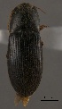  ( - ELAT040)  @11 [ ] Unspecified (default): All Rights Reserved  Unspecified Unspecified