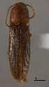  ( - ELAT046)  @11 [ ] Unspecified (default): All Rights Reserved  Unspecified Unspecified