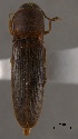  ( - ELAT047)  @11 [ ] Unspecified (default): All Rights Reserved  Unspecified Unspecified