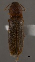  ( - ELAT049)  @11 [ ] Unspecified (default): All Rights Reserved  Unspecified Unspecified