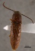  ( - ELAT092)  @13 [ ] Unspecified (default): All Rights Reserved  Unspecified Unspecified