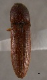  ( - ELAT094)  @11 [ ] Unspecified (default): All Rights Reserved  Unspecified Unspecified