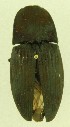  ( - ELAT109)  @12 [ ] Unspecified (default): All Rights Reserved  Unspecified Unspecified