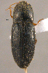  ( - ELAT125)  @13 [ ] Unspecified (default): All Rights Reserved  Unspecified Unspecified