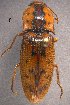  ( - ELAT141)  @11 [ ] Unspecified (default): All Rights Reserved  Unspecified Unspecified