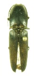  ( - ELAT164)  @12 [ ] Unspecified (default): All Rights Reserved  Unspecified Unspecified