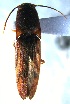  ( - ELAT169)  @11 [ ] Unspecified (default): All Rights Reserved  Unspecified Unspecified