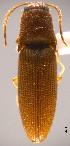 ( - ELAT011)  @12 [ ] Unspecified (default): All Rights Reserved  Unspecified Unspecified