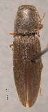  ( - ELAT016)  @11 [ ] Unspecified (default): All Rights Reserved  Unspecified Unspecified