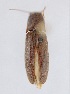  ( - ELAT050)  @12 [ ] Unspecified (default): All Rights Reserved  Unspecified Unspecified
