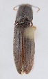  ( - ELAT051)  @12 [ ] Unspecified (default): All Rights Reserved  Unspecified Unspecified