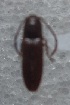  ( - ELAT063)  @11 [ ] Unspecified (default): All Rights Reserved  Unspecified Unspecified