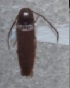  ( - ELAT074)  @11 [ ] Unspecified (default): All Rights Reserved  Unspecified Unspecified