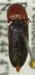  ( - SRG041)  @11 [ ] Unspecified (default): All Rights Reserved  Unspecified Unspecified