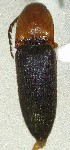  ( - SRG043)  @11 [ ] Unspecified (default): All Rights Reserved  Unspecified Unspecified