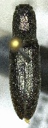  ( - SRG0229)  @11 [ ] Unspecified (default): All Rights Reserved  Unspecified Unspecified
