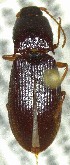  ( - SRG0270)  @11 [ ] Unspecified (default): All Rights Reserved  Unspecified Unspecified