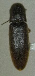  ( - SRG019)  @11 [ ] Unspecified (default): All Rights Reserved  Unspecified Unspecified