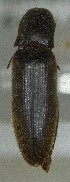  ( - SRG020)  @11 [ ] Unspecified (default): All Rights Reserved  Unspecified Unspecified