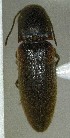  ( - SRG021)  @11 [ ] Unspecified (default): All Rights Reserved  Unspecified Unspecified