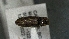  ( - SRG0316)  @11 [ ] Unspecified (default): All Rights Reserved  Unspecified Unspecified