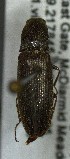  ( - SRG0323)  @11 [ ] Unspecified (default): All Rights Reserved  Unspecified Unspecified