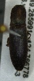  ( - SRG0326)  @11 [ ] Unspecified (default): All Rights Reserved  Unspecified Unspecified