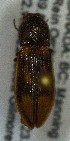  ( - SRG0340)  @11 [ ] Unspecified (default): All Rights Reserved  Unspecified Unspecified