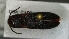  ( - SRG0371)  @11 [ ] Unspecified (default): All Rights Reserved  Unspecified Unspecified