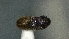  ( - SRG0407)  @11 [ ] Unspecified (default): All Rights Reserved  Unspecified Unspecified