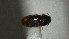  ( - SRG0408)  @11 [ ] Unspecified (default): All Rights Reserved  Unspecified Unspecified