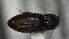  ( - SRG0410)  @11 [ ] Unspecified (default): All Rights Reserved  Unspecified Unspecified