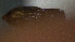  ( - SRG0414)  @11 [ ] Unspecified (default): All Rights Reserved  Unspecified Unspecified
