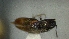  ( - SRG0419)  @11 [ ] Unspecified (default): All Rights Reserved  Unspecified Unspecified