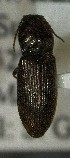  ( - SRG0425)  @11 [ ] Unspecified (default): All Rights Reserved  Unspecified Unspecified
