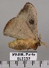  ( - EL2237)  @11 [ ] CreativeCommons - Attribution (2015) MNHN Muséum national d'Histoire naturelle