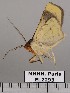  ( - EL2293)  @13 [ ] CreativeCommons - Attribution (2015) MNHN Muséum national d'Histoire naturelle
