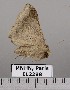  (Pseudophisma aeolia - EL2298)  @13 [ ] CreativeCommons - Attribution (2015) MNHN Muséum national d'Histoire naturelle
