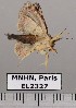  ( - EL2327)  @12 [ ] CreativeCommons - Attribution (2015) MNHN Muséum national d'Histoire naturelle