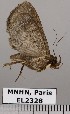  ( - EL2328)  @13 [ ] CreativeCommons - Attribution (2015) MNHN Muséum national d'Histoire naturelle