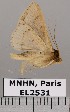  ( - EL2531)  @13 [ ] CreativeCommons - Attribution (2015) MNHN Muséum national d'Histoire naturelle