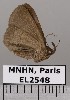  ( - EL2548)  @11 [ ] CreativeCommons - Attribution (2015) MNHN Muséum national d'Histoire naturelle