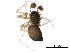  ( - BIOUG32544-D09)  @11 [ ] CreativeCommons - Attribution (2017) CBG Photography Group Centre for Biodiversity Genomics