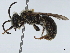  ( - BIOUG34946-E08)  @11 [ ] CreativeCommons - Attribution (2021) CBG Photography Group Centre for Biodiversity Genomics