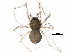  ( - BIOUG34974-E10)  @11 [ ] CreativeCommons - Attribution (2018) CBG Photography Group Centre for Biodiversity Genomics