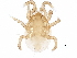  ( - BIOUG34978-C09)  @11 [ ] CreativeCommons - Attribution (2018) CBG Photography Group Centre for Biodiversity Genomics
