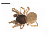  ( - BIOUG32544-F05)  @11 [ ] CreativeCommons - Attribution (2017) G. Blagoev Centre for Biodiversity Genomics