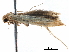  ( - BIOUG35438-E12)  @11 [ ] CreativeCommons - Attribution (2018) CBG Photography Group Centre for Biodiversity Genomics