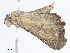  ( - CBG-A07109-C05)  @11 [ ] CreativeCommons - Attribution Share - Alike (2023) CBG Photography Group Centre for Biodiversity Genomics